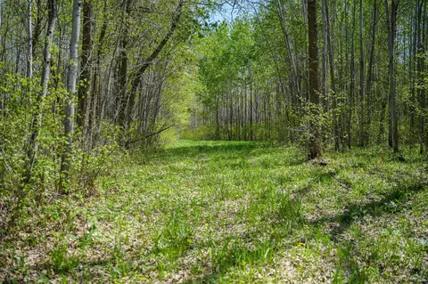 tbd 140th St, Frazee, MN 56544 photo 68