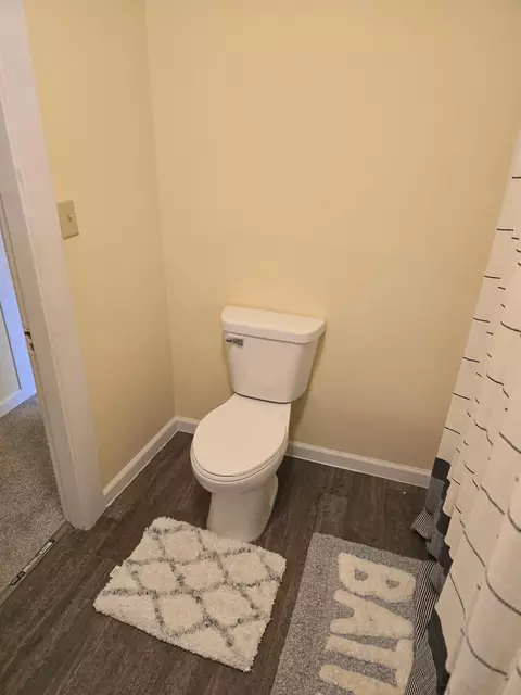 225 E 5th St, Red Wing, MN 55066 photo 39