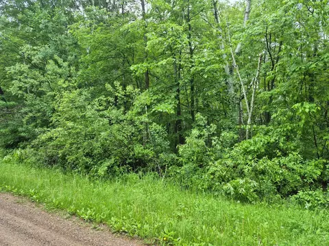 tbd Willow Dr, Garrison, MN 56450 photo 5