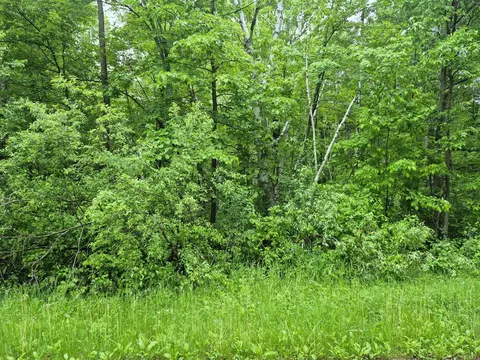 tbd Willow Dr, Garrison, MN 56450 photo 3