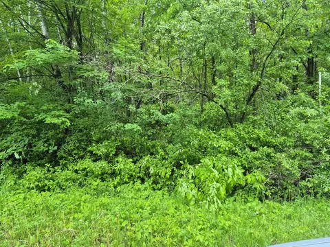 tbd Willow Dr, Garrison, MN 56450 photo 2