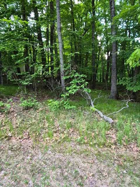 tbd Lot 353 195th Pl, Mcgregor, MN 55760