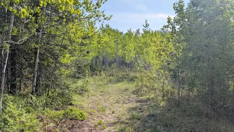 7573 Thumbnail Dr, Embarrass, MN 55732 photo 3
