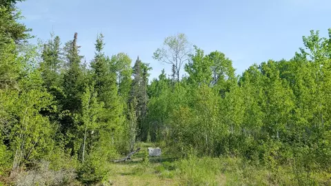 7573 Thumbnail Dr, Embarrass, MN 55732 photo 4