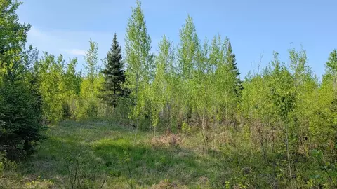 7573 Thumbnail Dr, Embarrass, MN 55732