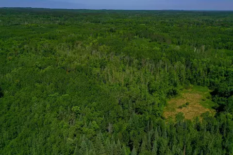 tbd County Highway 47, Osage, MN 56570