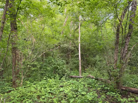 tbd 5ac Ginger Ave, Harris, MN 55032 photo 12