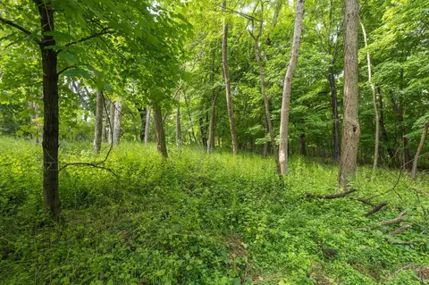 Other - 3470 Hamilton Ave, Wayzata, MN 55391 photo 13 of 13