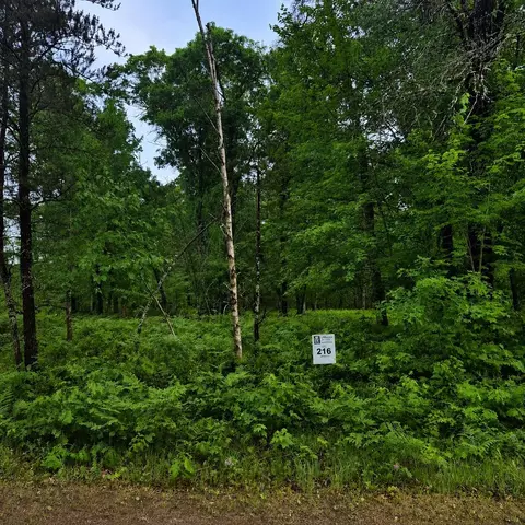 lot216 Deerpath Rd, Danbury, WI 54830