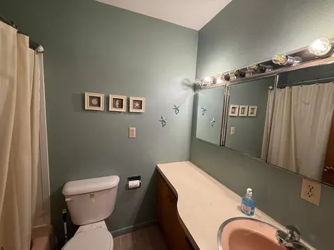 Bath - 16223 Oster Point Rd, Cold Spring, MN 56320 photo 2 of 2