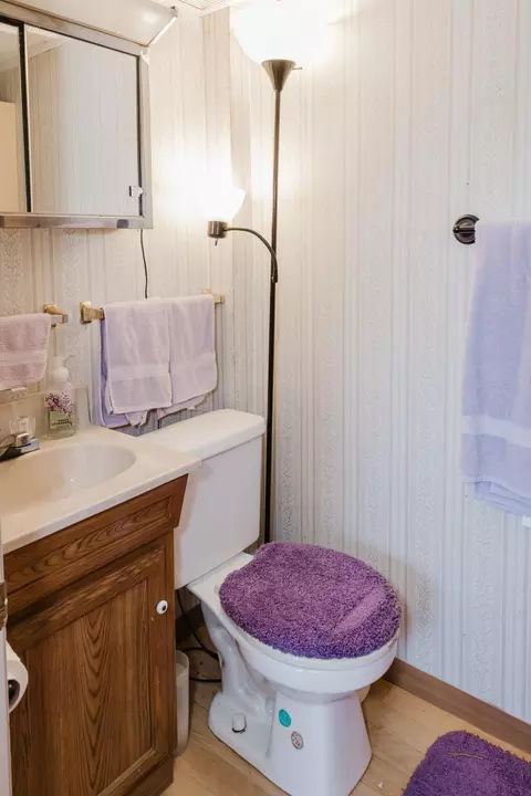 Bath - 30007 150th St, Akeley, MN 56433 photo 4 of 4