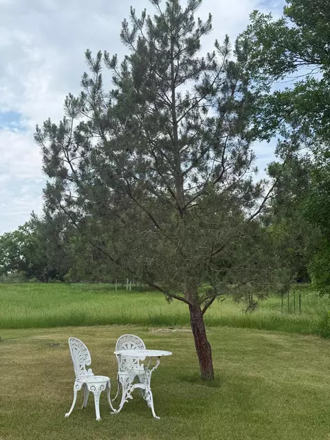 Exterior - 3407 300th Ave, Gary, MN 56545 photo 11 of 12