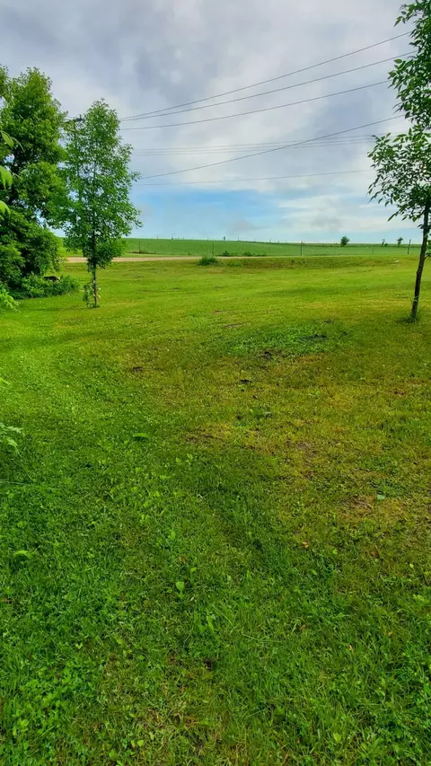 Exterior - 321 3rd Ave NE, Eagle Bend, MN 56446 photo 14 of 19
