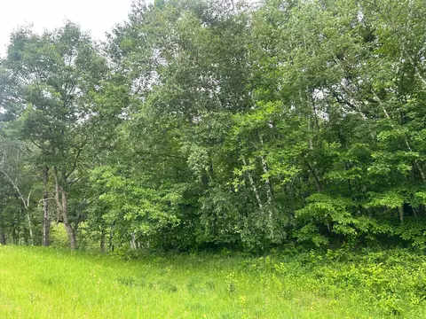 tbd County Rd 16, Cushing, MN 56443 photo 8
