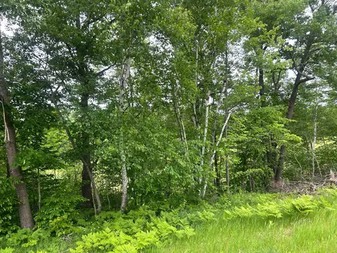 tbd County Rd 16, Cushing, MN 56443 photo 7