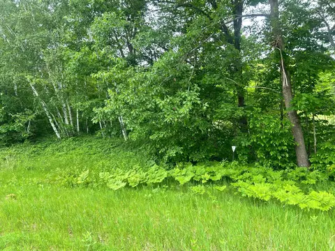 tbd County Rd 16, Cushing, MN 56443 photo 6