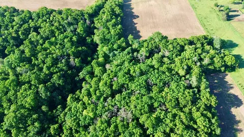 lot2 160th Ave, Maiden Rock, WI 54750