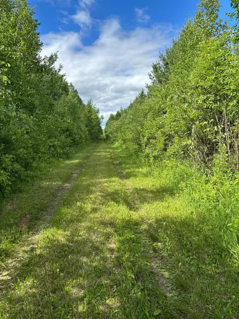 10750 Groningen Rd, Sandstone, MN 55072
