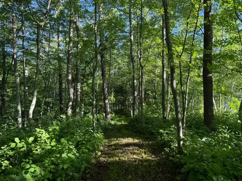 tbd Sathre Ln, Shell Lake, WI 54871 photo 24