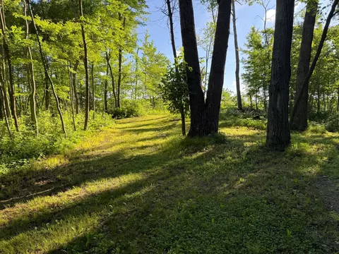 tbd Sathre Ln, Shell Lake, WI 54871 photo 5