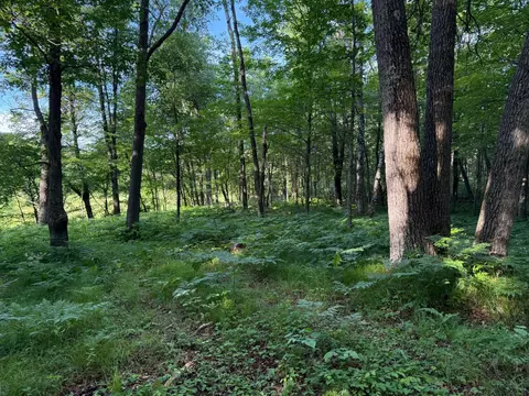 tbd Sathre Ln, Shell Lake, WI 54871 photo 27