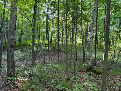 tbd Sathre Ln, Shell Lake, WI 54871 photo 33