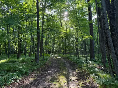 tbd Sathre Ln, Shell Lake, WI 54871 photo 28