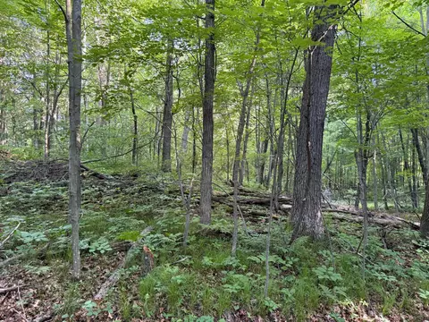 tbd Sathre Ln, Shell Lake, WI 54871 photo 30