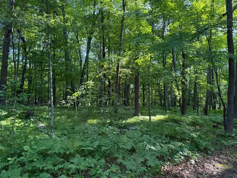 tbd Sathre Ln, Shell Lake, WI 54871 photo 29
