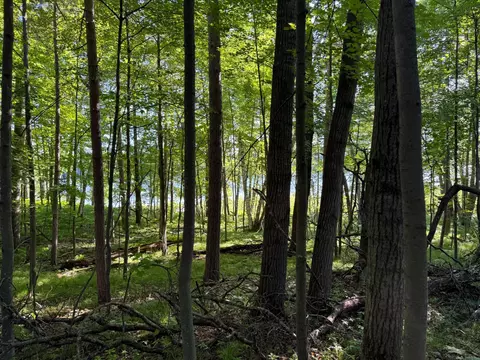 tbd Sathre Ln, Shell Lake, WI 54871 photo 18