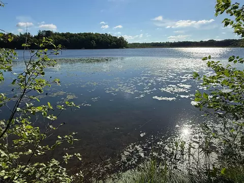 tbd Sathre Ln, Shell Lake, WI 54871 photo 19
