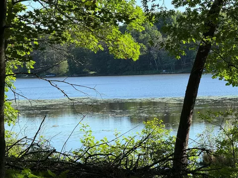 tbd Sathre Ln, Shell Lake, WI 54871 photo 17