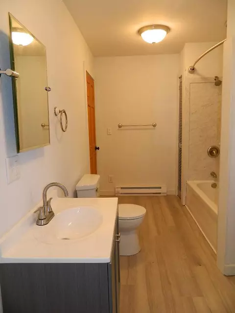 Bath - 117 Front St, Littlefork, MN 56653 photo 2 of 3