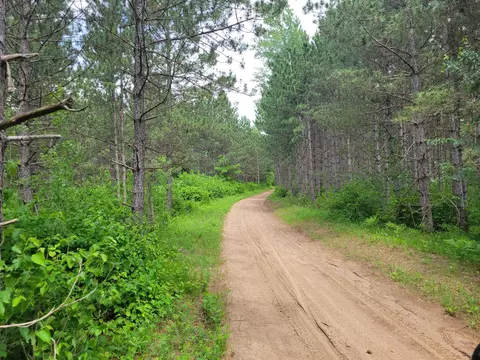 1045 State Trl # B, Nevis, MN 56467