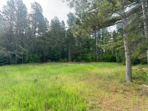 tbd Tract 1 County 13, Nevis, MN 56467