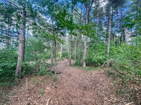 tbd Tract 1 County 13, Nevis, MN 56467