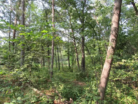 lot S 5-11 Tbd Front Street Front St, Pine River, MN 56474 photo 4