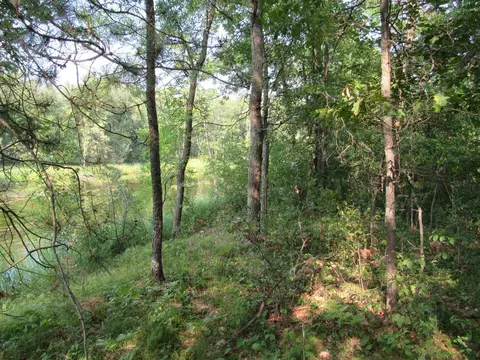lot S 5-11 Tbd Front Street Front St, Pine River, MN 56474 photo 6