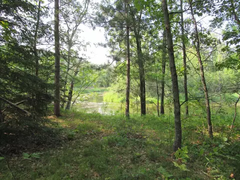lot S 5-11 Tbd Front Street Front St, Pine River, MN 56474