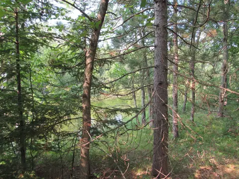 lot S 5-11 Tbd Front Street Front St, Pine River, MN 56474 photo 5