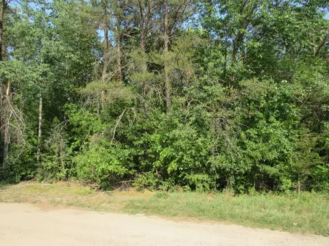 lot S 5-11 Tbd Front Street Front St, Pine River, MN 56474 photo 3