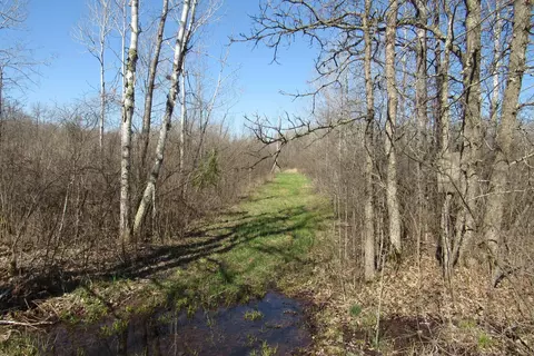 tbd 1 County Road 41, Willow River, MN 55795 photo 5