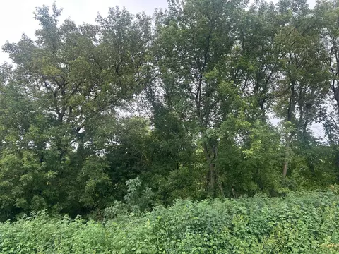 Other - 1320 136th Cir E, Rosemount, MN 55068 photo 5 of 7