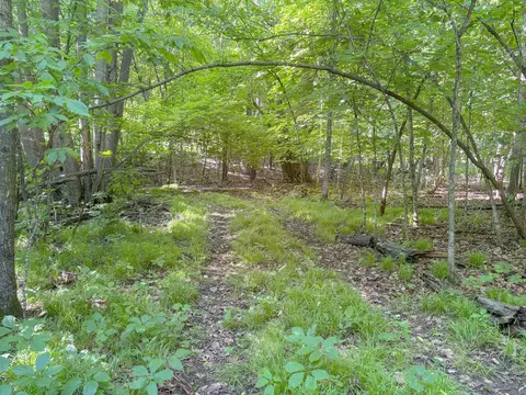 3 Nnnn 407th St, Dent, MN 56528 photo 14