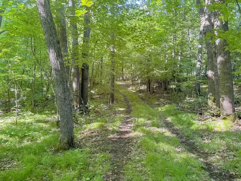 3 Nnnn 407th St, Dent, MN 56528 photo 11