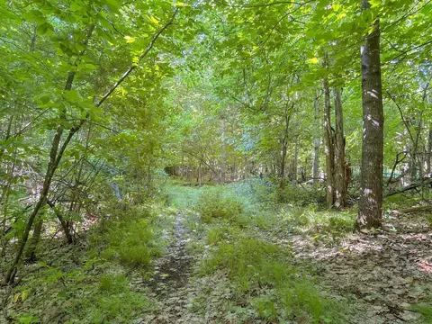 3 Nnnn 407th St, Dent, MN 56528 photo 13
