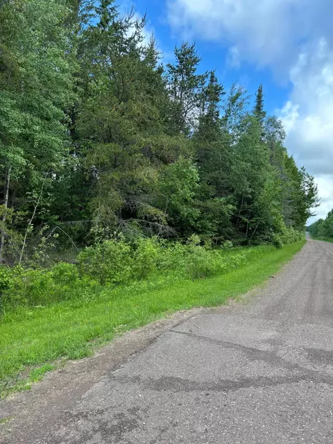 Nnn Town Line Road, Bassett Twp, MN 55602