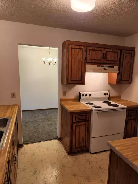 157 Mindy Ln #31, Montrose, MN 55363