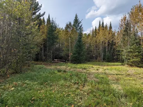 tbd Deer River Line Rd, Littlefork, MN 56653
