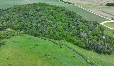 tbd Cardinal Ln, Mabel, MN 55954